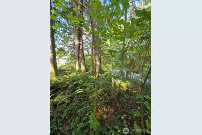 0 Lot Bb SE 159th Street, North Bend, WA 98045 - Photo 6