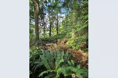 0 Lot Bb SE 159th Street, North Bend, WA 98045 - Photo 8