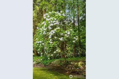 5709 80th Avenue SE, Mercer Island, WA 98040 - Photo 30
