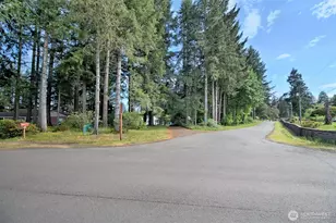 529 N 12th St, Shelton, WA 98584 - Photo 38
