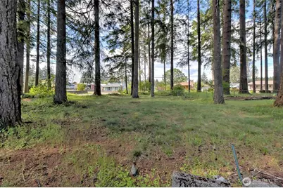 529 N 12th Street, Shelton, WA 98584 - Photo 34