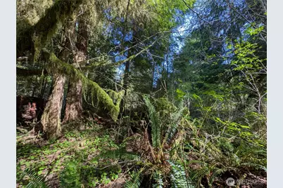 999 Hoh River Park Drive, Forks, WA 98331 - Photo 40
