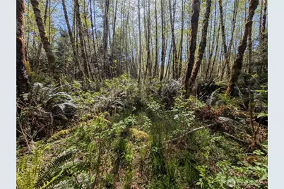 999 Hoh River Park Drive, Forks, WA 98331 - Photo 8