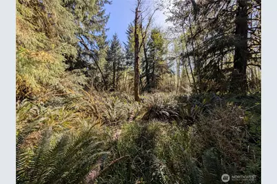 999 Hoh River Park Drive, Forks, WA 98331 - Photo 36