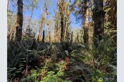 999 Hoh River Park Drive, Forks, WA 98331 - Photo 12