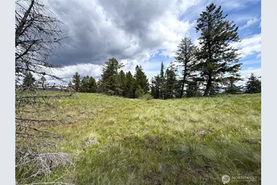 19 Union Ridge Spur Road, Republic, WA 99166 - Photo 18