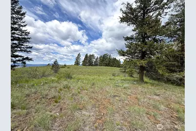 19 Union Ridge Spur Road, Republic, WA 99166 - Photo 20