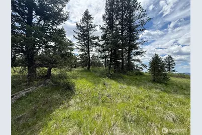 19 Union Ridge Spur Road, Republic, WA 99166 - Photo 26