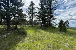 19 Union Ridge Spur Rd, Republic, WA 99166 - Photo 26