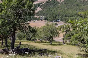992 Hwy 142 E, Lyle, WA 98635 - Photo 30