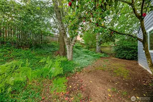 15504 25th Ave NE, Shoreline, WA 98155 - Photo 26