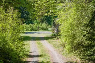 306 Bear Tracts Rd, Port Angeles, WA 98363 - Photo 38