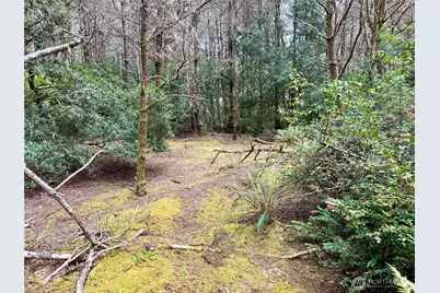 1007 Sand Castle Lane, Westport, WA 98595 - Photo 28