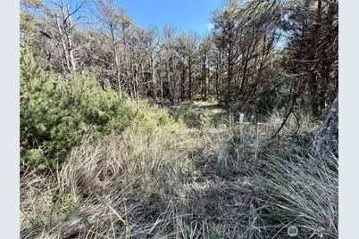 1007 Sand Castle Lane, Westport, WA 98595 - Photo 20