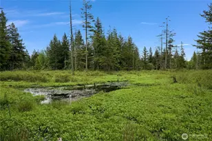 9954 Peace Rd, Blaine, WA 98230 - Photo 36