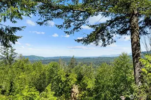 32600 349th Way SE, Ravensdale, WA 98051 - Photo 36