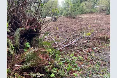 0 Lot State Route 3, Belfair, WA 98528 - Photo 2