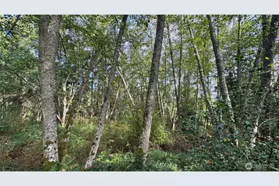 0 Heggeness Road, Clinton, WA 98236 - Photo 4