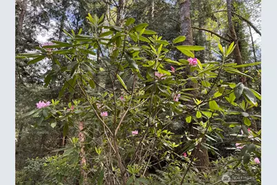 3021 NW Beth Lane, Poulsbo, WA 98370 - Photo 24