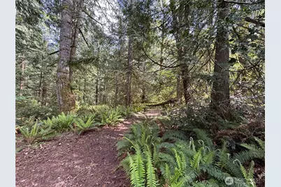 3021 NW Beth Lane, Poulsbo, WA 98370 - Photo 22