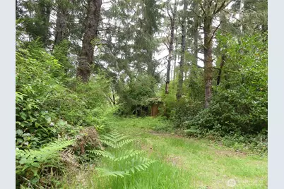 14001 Birch Street, Long Beach, WA 98631 - Photo 2