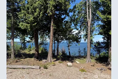 442 Buck Loop Road, Sequim, WA 98382 - Photo 32