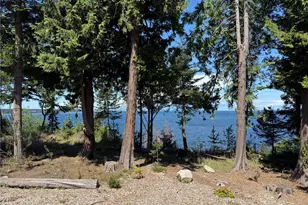 442 Buck Loop Rd, Sequim, WA 98382 - Photo 32