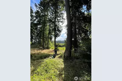 17616 SE Vine Ln, Yelm, WA 98597 - Photo 6