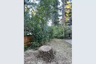 17616 SE Vine Ln, Yelm, WA 98597 - Photo 4