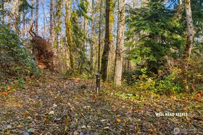 15 Xxx Brookside Place, Snohomish, WA 98290 - Photo 4