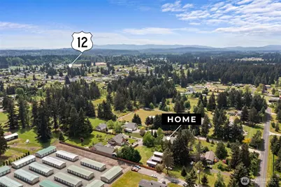9039 176th Avenue SW, Rochester, WA 98579 - Photo 36