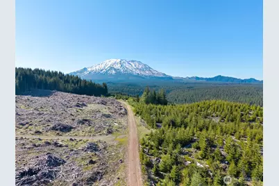 2500 4 Peaks Drive, Cougar, WA 98616 - Photo 8