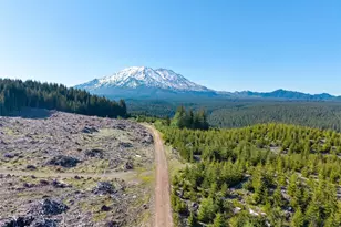 2500 4 Peaks Dr, Cougar, WA 98616 - Photo 8