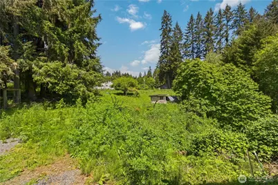 204 Conger Road, Castle Rock, WA 98611 - Photo 30
