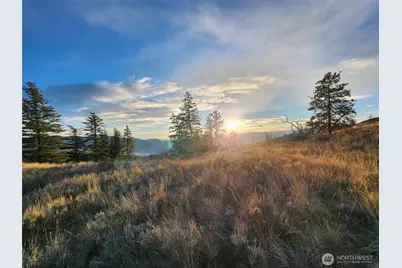 0 Blue Grouse (Div 5, Lot 42), Oroville, WA 98844 - Photo 6