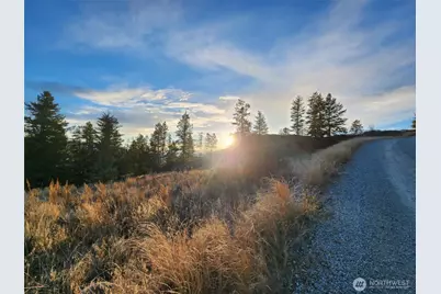 0 Blue Grouse (Div 5, Lot 42), Oroville, WA 98844 - Photo 8