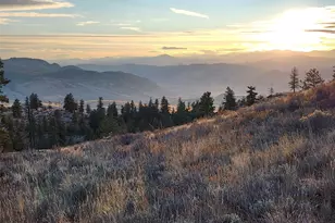 0 Blue Grouse (Div 5 Lot 42), Oroville, WA 98844 - Photo 1
