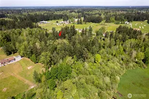 422 336th St E, Roy, WA 98580 - Photo 38