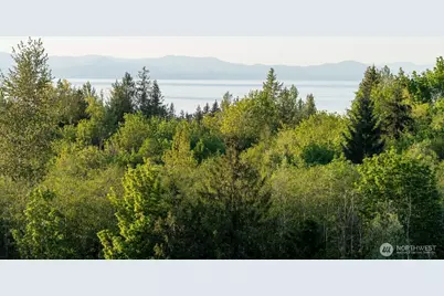 405 Elk Run Trail, Port Angeles, WA 98362 - Photo 2
