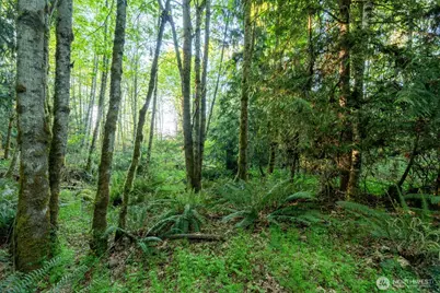 405 Elk Run Trail, Port Angeles, WA 98362 - Photo 10