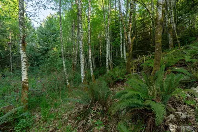405 Elk Run Trail, Port Angeles, WA 98362 - Photo 16