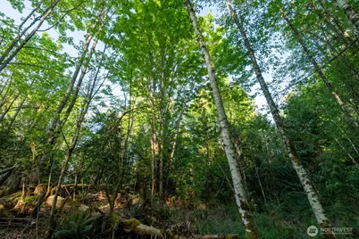 405 Elk Run Trail, Port Angeles, WA 98362 - Photo 14