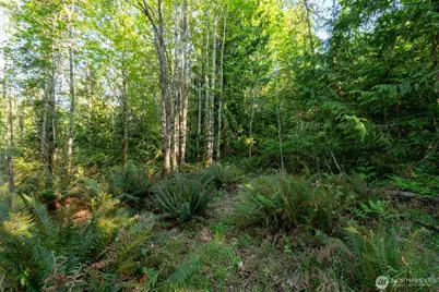 405 Elk Run Trail, Port Angeles, WA 98362 - Photo 6