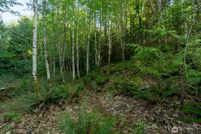 405 Elk Run Trail, Port Angeles, WA 98362 - Photo 12