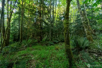 405 Elk Run Trail, Port Angeles, WA 98362 - Photo 8
