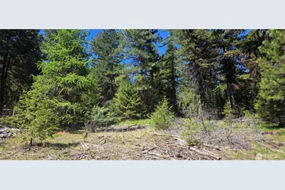 111 Tbd Wannamaker Rd, Oroville, WA 98844 - Photo 2