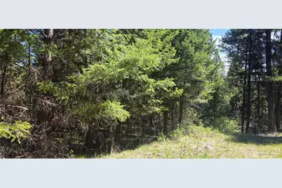 111 Tbd Wannamaker Rd, Oroville, WA 98844 - Photo 4