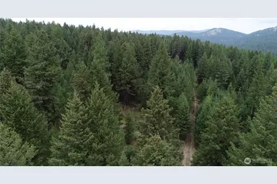 111 Tbd Wannamaker Rd, Oroville, WA 98844 - Photo 12