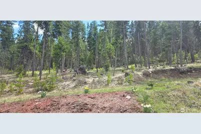 790 Bonaparte Lake Rd, Tonasket, WA 98855 - Photo 26