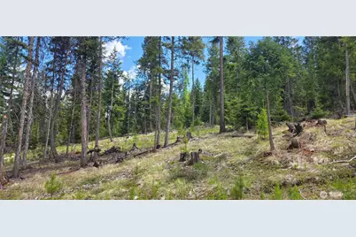790 Bonaparte Lake Rd, Tonasket, WA 98855 - Photo 28